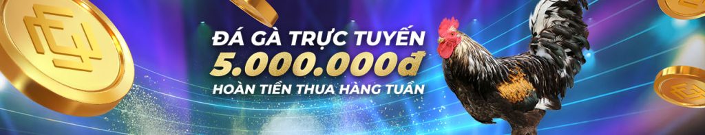 dagathomohomnay.co Hoàn tiền 3.88% hàng tuần tại Đá Gà