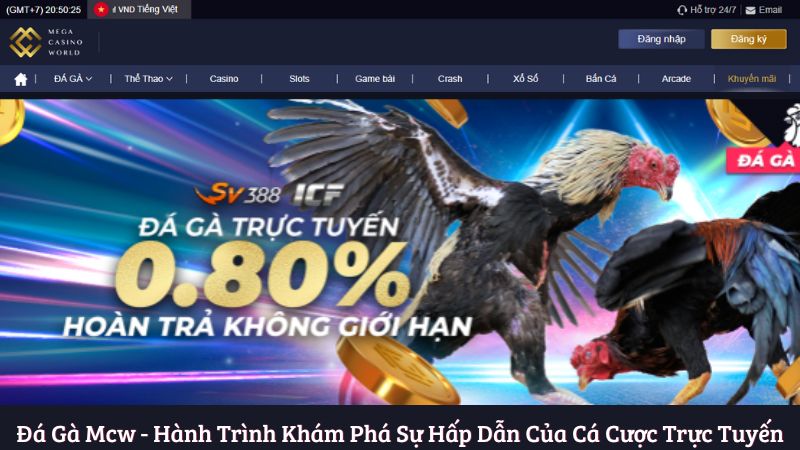 Lịch sử và xuất xứ của đá gà mcw